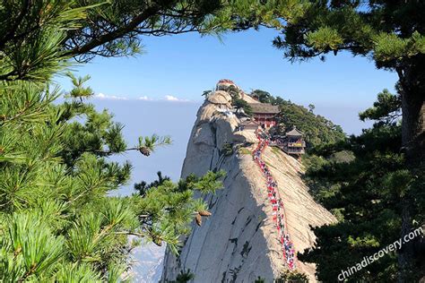 爬華山行李箱如何安放——看專家的解答与建议！🧳​旅途中智慧的选择与安排策略🌄