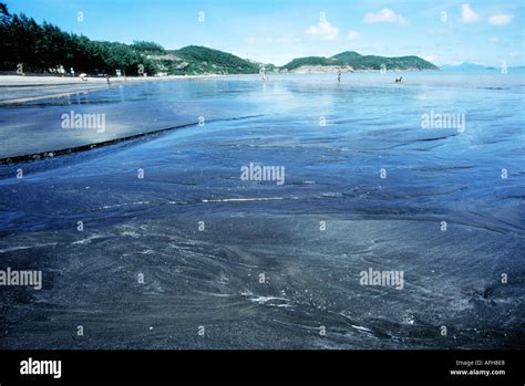 澳門黑沙海灘怎麼樣？從多維度探訪這片海灘風情